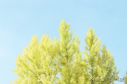 úһӽҸ (3)